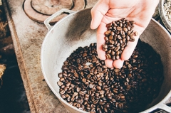 Prvi pad cijene kafe u Brazilu nakon 18 mjeseci
