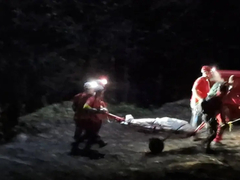 TRAGEDIJA: Stradao mladić tokom radova u šumi