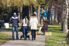 Vlada Srpske zadužila opštine i gradovi da nastave sa finansiranjem vantjelesne oplodnje