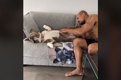 Uspavani pas budi se samo ako njegov vlasnik kaže čarobnu riječ