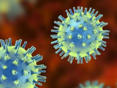 Indija se bori protiv smrtonosne epidemije virusa