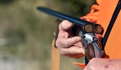 Starac zapucao zbog žetve pšenice