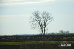 Danas pretežno oblačno i hladno