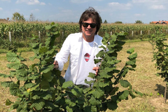 Alen Islamović od lješnika zaradi 50.000 evra godišnje