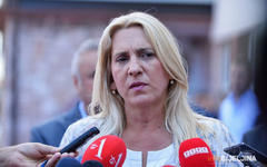 Cvijanović: Pooštravanje mjera zavisi od svih nas, to nije volja ili hir bilo koga