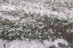 U Budvi pao grad veličine lješnika VIDEO