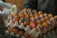 Misterija iz BiH: Jedino mjesto na svijetu gdje se potkivaju jaja /VIDEO/