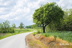 Sutra toplije sa sunčanim intervalima