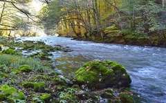 Kineskom izvođaču nedostaju "SAMO" ekološke dozvole za hidrocentrale kod Foče EKOLOZI PROTIV HIDROCENTRALE
