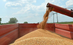 Ministarstvo otkrilo podatke: Koliko u bijeljinskim silosima ima pšenice?