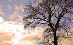 Sutra pretežno oblačno sa sunčanim intervalima