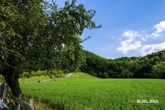 Danas sunčano sa temperaturom do 25 stepeni