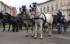 Tradicionalna "Kupusijada" i "Fijakerijada" na Mitrovdanskom vašaru u Bijeljini