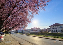 Uživajte u vikendu: Danas sunčano i toplo