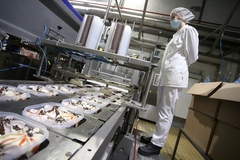 Ledo gasi proizvodnju u BiH, 50 radnika ostaje bez posla