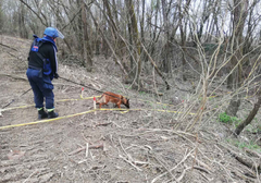 Da li su demineri morali ostati bez naknada: Najdeblji kraj radnicima u minskom polju