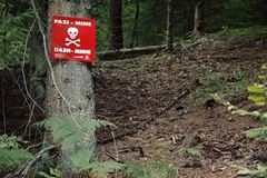 BiH u posebnom problemu: Mina ima i previše, a one su dugoročan problem za mnoge zemlje