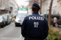 SRBIN UHAPŠEN U SALCBURGU Demolirao automobil, pa šutirao policiju