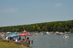 Bijeljina: Masovna tuča na Savskoj regati