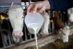 Litar mlijeka biće kao litar goriva