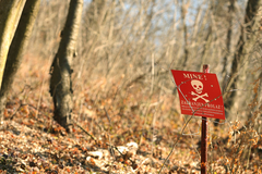 Samo u BiH: Pratio navigaciju pa završio u minskom polju