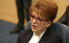 Zora Vidović iz svog iskustva o sumnjivom mesu: Nisam mogla vjerovati kada sam vidjela te crne ploče