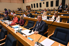 Srpska osjeća bol Srba na Kosovu i Metohiji