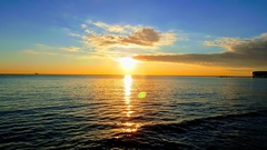 Kupači u Jadranu se žale na svrab i peckanje: "Ponekad mogu da ubodu, a često se vide i zaglavljeni u kupaćim kostimima"