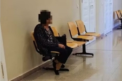 Srpkinja osuđena jer je Austriju prevarila za 30.000 evra socijalne pomoći