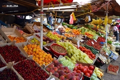 Povrće iz Semberije nekad hranilo i Ljubljanu, sad nemamo ni za 10% potreba BiH (FOTO)