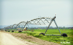 Pašalić: Za navodnjavanje još 15 miliona KM