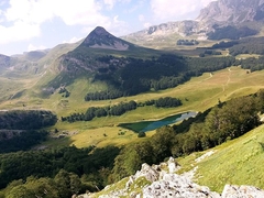 SRAMAN PRIJEDLOG Uprava nacionalnog parka “Sutjeska” PLANIRA POKRETANJE PILANE?