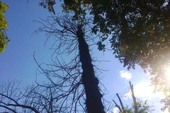 Danas pretežno sunčano