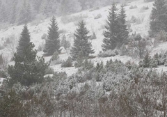 Pao prvi snijeg u regionu