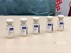 Stručnjaci objašnjavaju kakve su zapravo vakcine "Sputnjik V" i "Sinofarm"