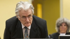 Petronijević: Karadžić primoran da sa porodicom razgovara na engleskom jeziku