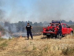 Ponovo aktivan požar u Amajlijama, vatra i prema Pavlovića putu (FOTO)