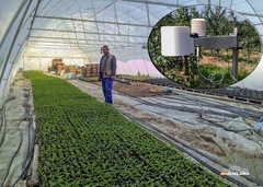 PUTEM INTERNETA PRATE KLIMATSKE PARAMETRE Agrostanice postavljene na semberske oranice (FOTO)
