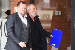 Prekinuto svjedočenje Milene Radulović na suđenju Miki Aleksiću