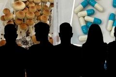 Porodica iz BiH imala “fabriku” psihodeličnih gljiva u Švedskoj: Zgrnuli milione, pa pali zbog pošte