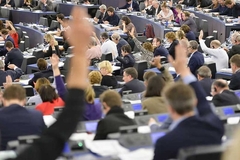 Evropski parlament usvojio Rezoluciju o borbi protiv organizovanog kriminala na zapadnom Balkanu