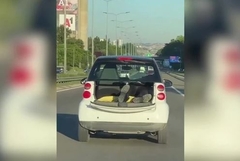 Građani u nevjerici gledali šta ovom čovjeku viri iz gepeka 