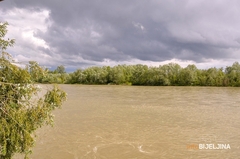 Tragedija u Janji kod Bijeljine: Pronađeno beživotno tijelo na riječnom ostrvu