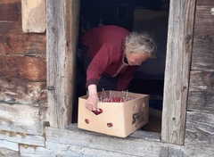 "Plaši me da ovu zimu neće preživjeti" Radica ŽIVI SAMA na vrhu planine u kolibici bez struje i vode, pomažu joj dobri ljudi