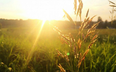 Prognoza vremena, temperature i do 40 stepeni