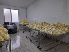 Kvalitet semberskog kupusa je neupitan, mora se urediti tržište i privući ozbiljni kupci 