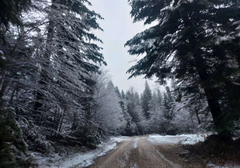 PAO PRVI SNIJEG U BIH Zabijelilo u Drvaru, Glamoču i Bosanskom Grahovu