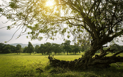 Danas sunčano sa temperaturom do 14 stepeni