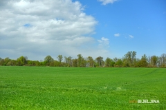 Sutra toplo i sunčano, uz postepeno naoblačenje