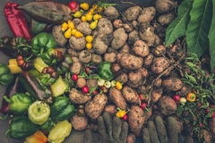 Ovo su namirnice koje sadrže NAJVIŠE hranjivih materija